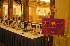 BIG BROTHERS BIG SISTERS GALA